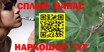соль ск Будённовск