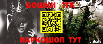 соль ск Будённовск